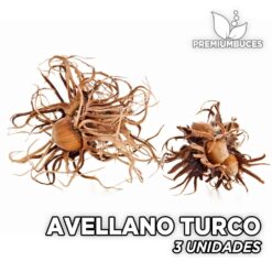 Alternative view of Avellano Turco 3 Unidades