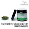 CSF Exclusive Series Veggie Plus 35g