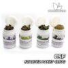 CSF Starter Paket 4 x 10g