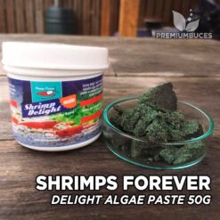 SHRIMPS FOREVER Delight Algae Paste 50GR