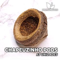 Chapeuzinho Pods x3 Unidades Hojas y botánicos para acuario