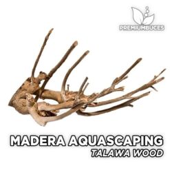 Madera Talawa Wood Maderas Aquascaping