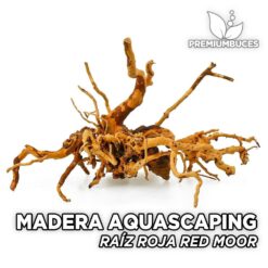 Raíz Roja Red Moor Maderas Aquascaping