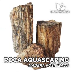 Rocas Madera Fosilizada Rocas Aquascaping