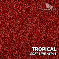 Alternative view of TROPICAL Soft Line ASIA S