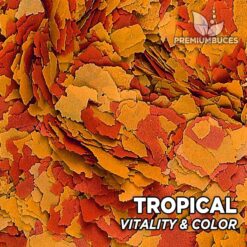Alternative view of TROPICAL Vitality & Color
