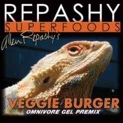 Alternative view of REPASHY SUPERFOODS - Veggie Burger