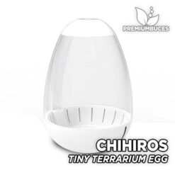 CHIHIROS Tiny Terrarium Egg